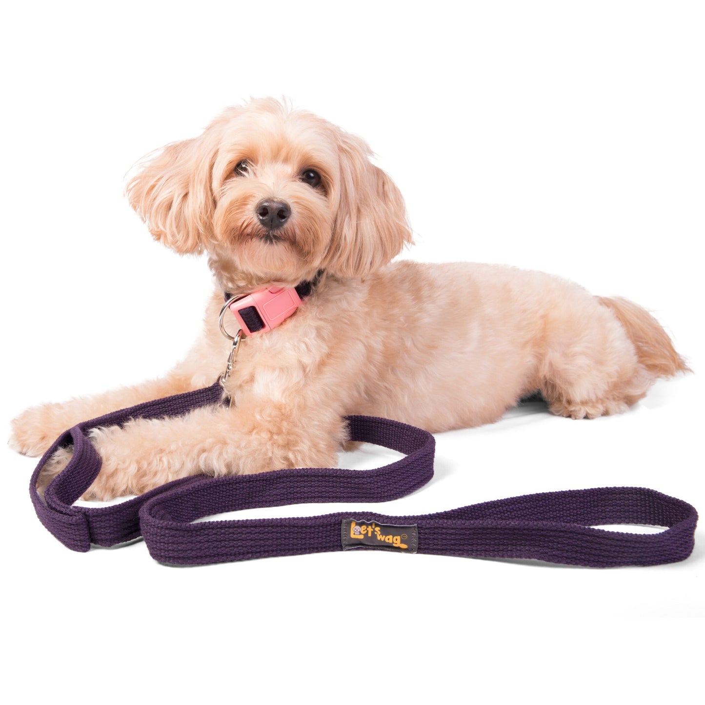 Double Handle Leash – Dark Purple