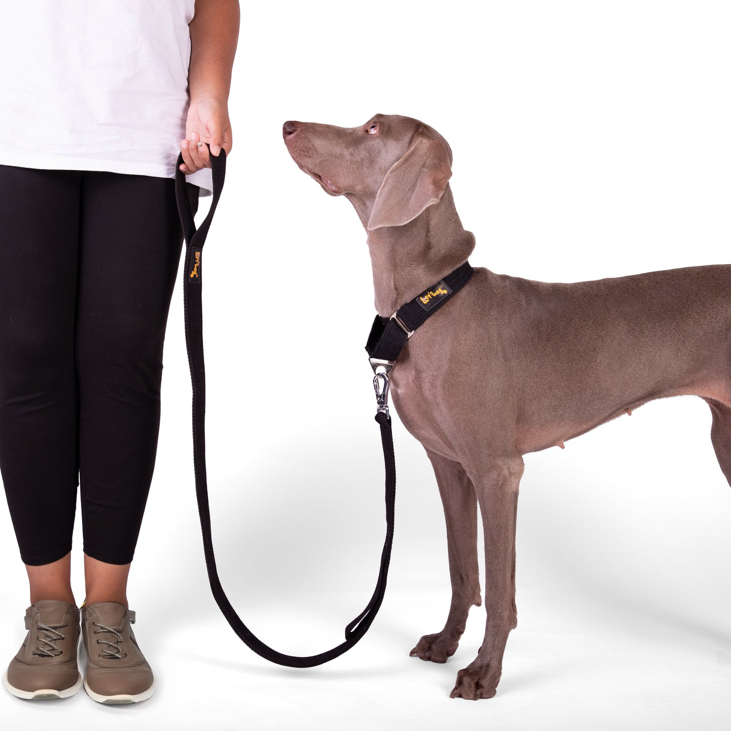 Double Handle Leash – Black