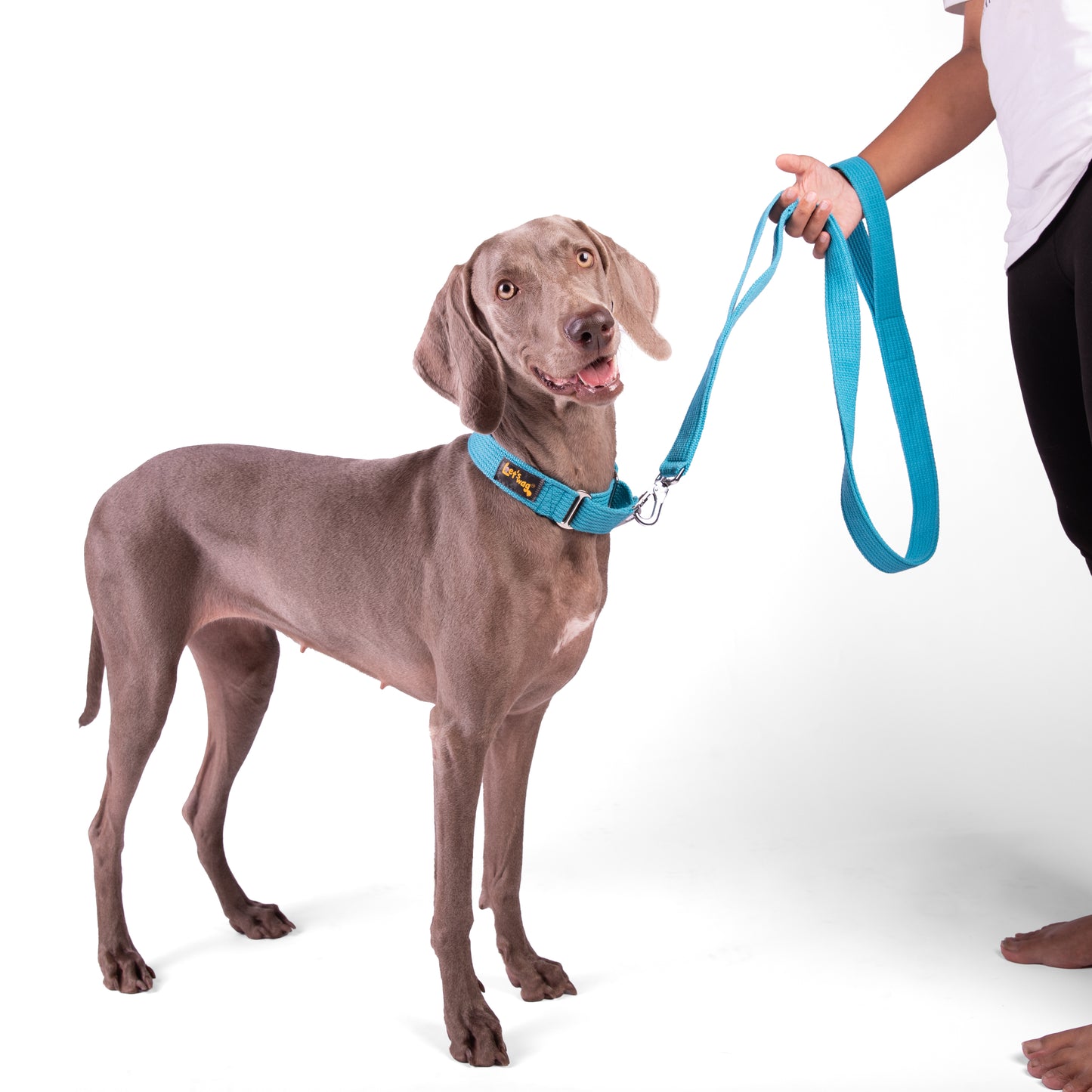 Double Handle Fabric Leash – Cobalt Blue