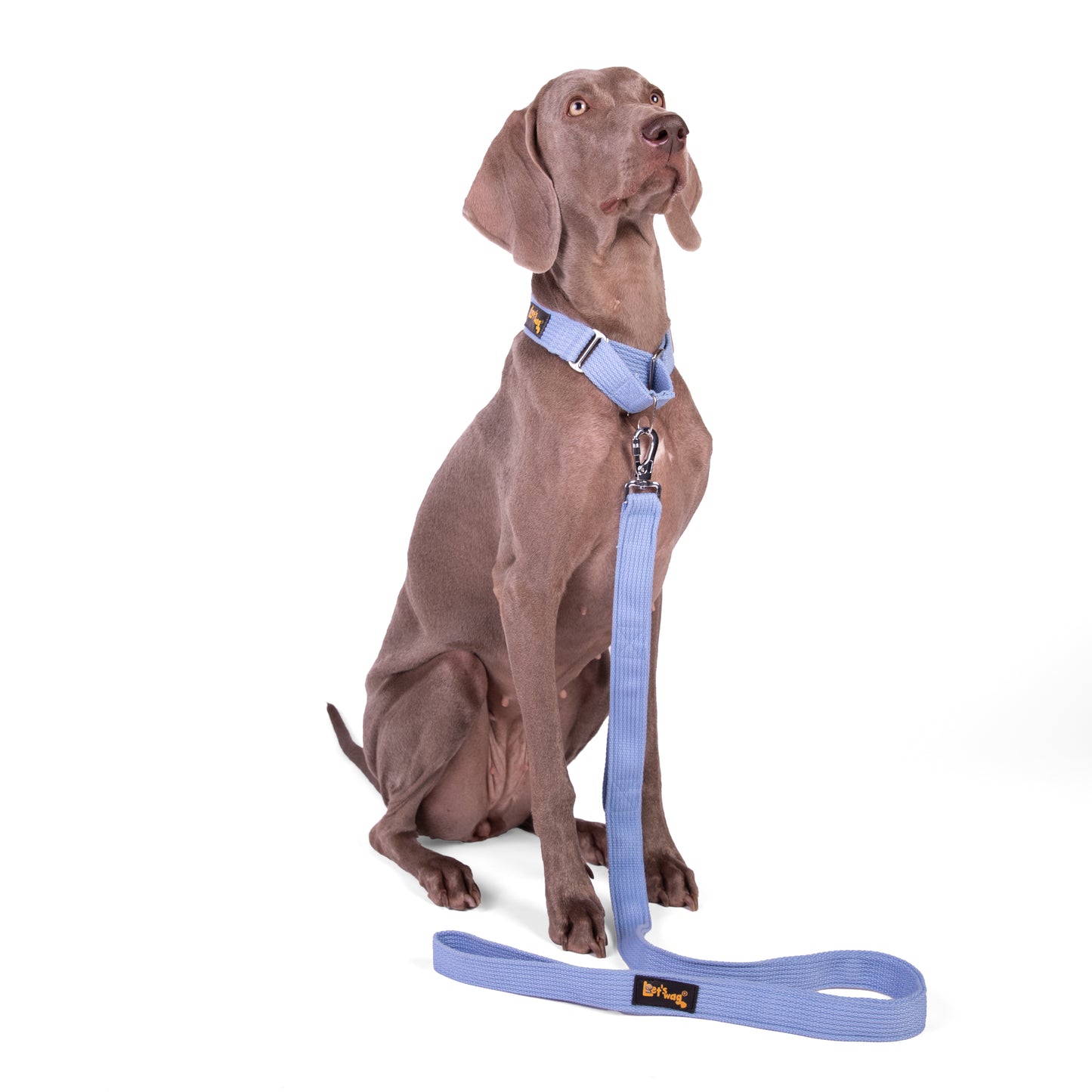 Double Handle Premium Fabric Leash – Sky Blue
