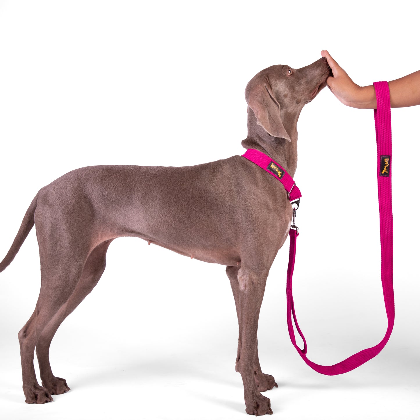Double Handle Fabric Leash – Pink