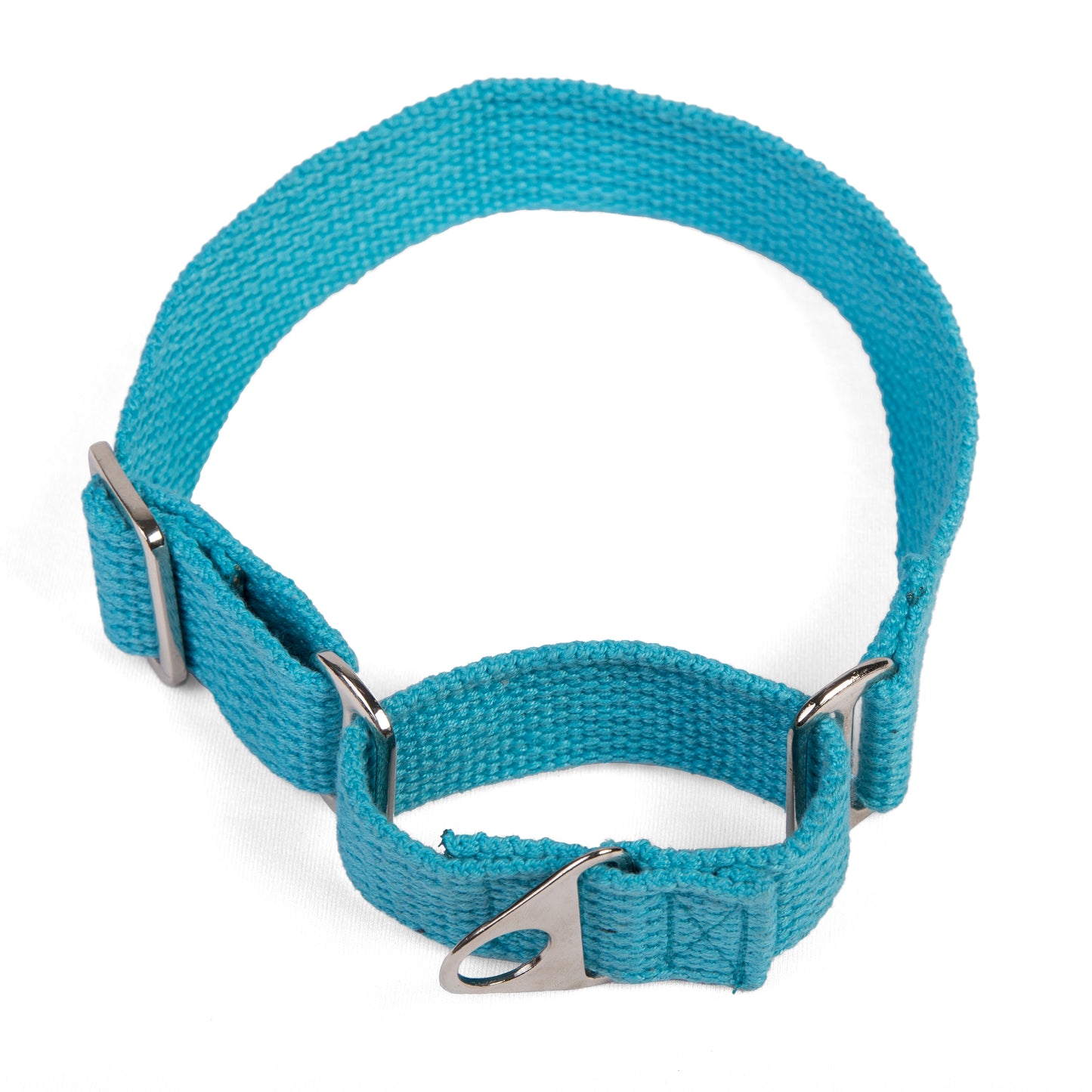 Martingale Fabric Collar – Cobalt Blue