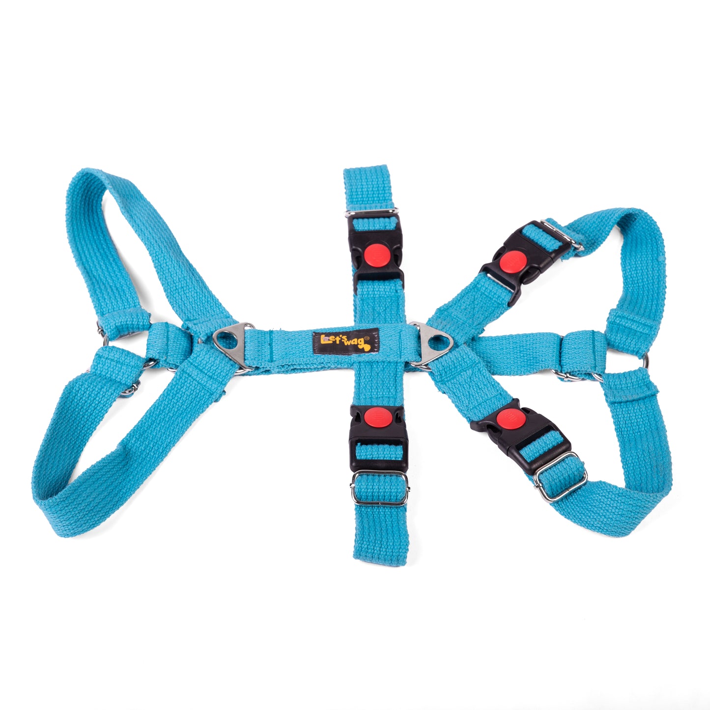 Double H Harness Blue