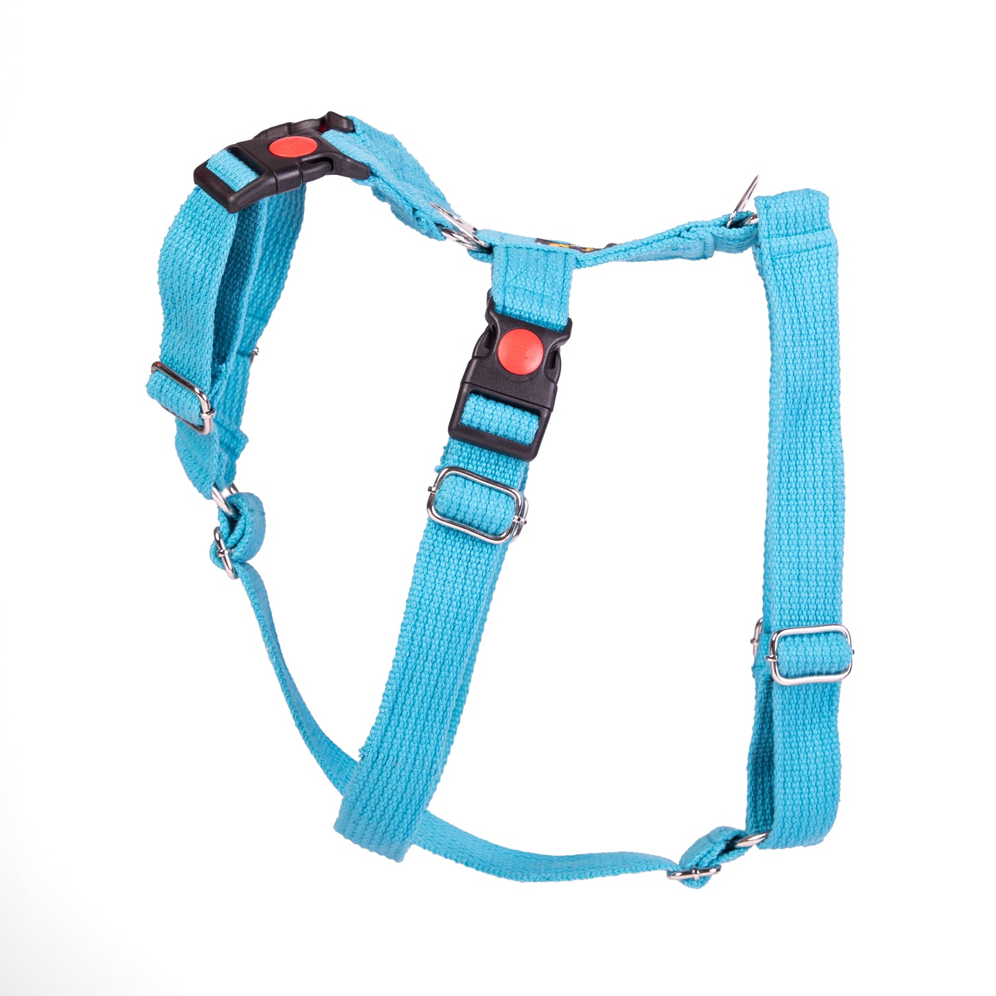 Double H Harness Blue