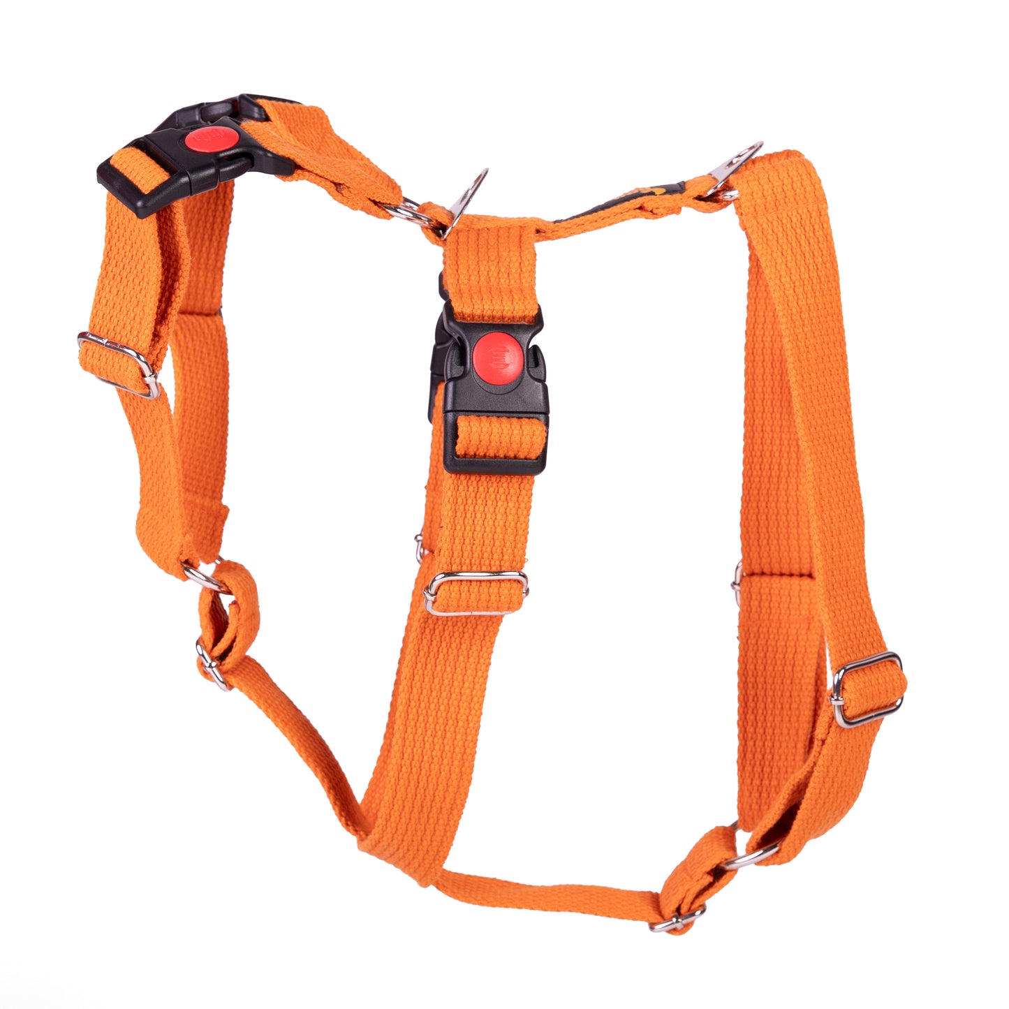 Double H Harness Orange