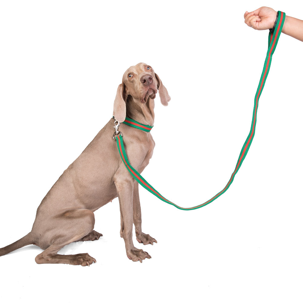 Single Handle Fabric Leash – Green & Red