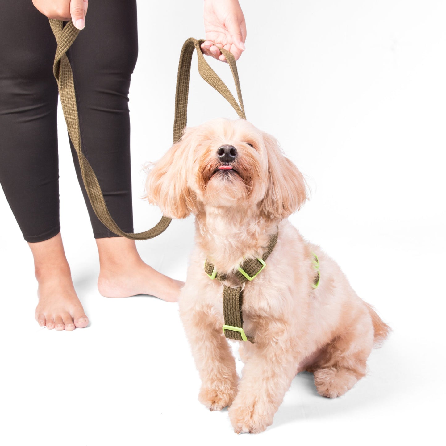 Double Handle Leash – Olive Green