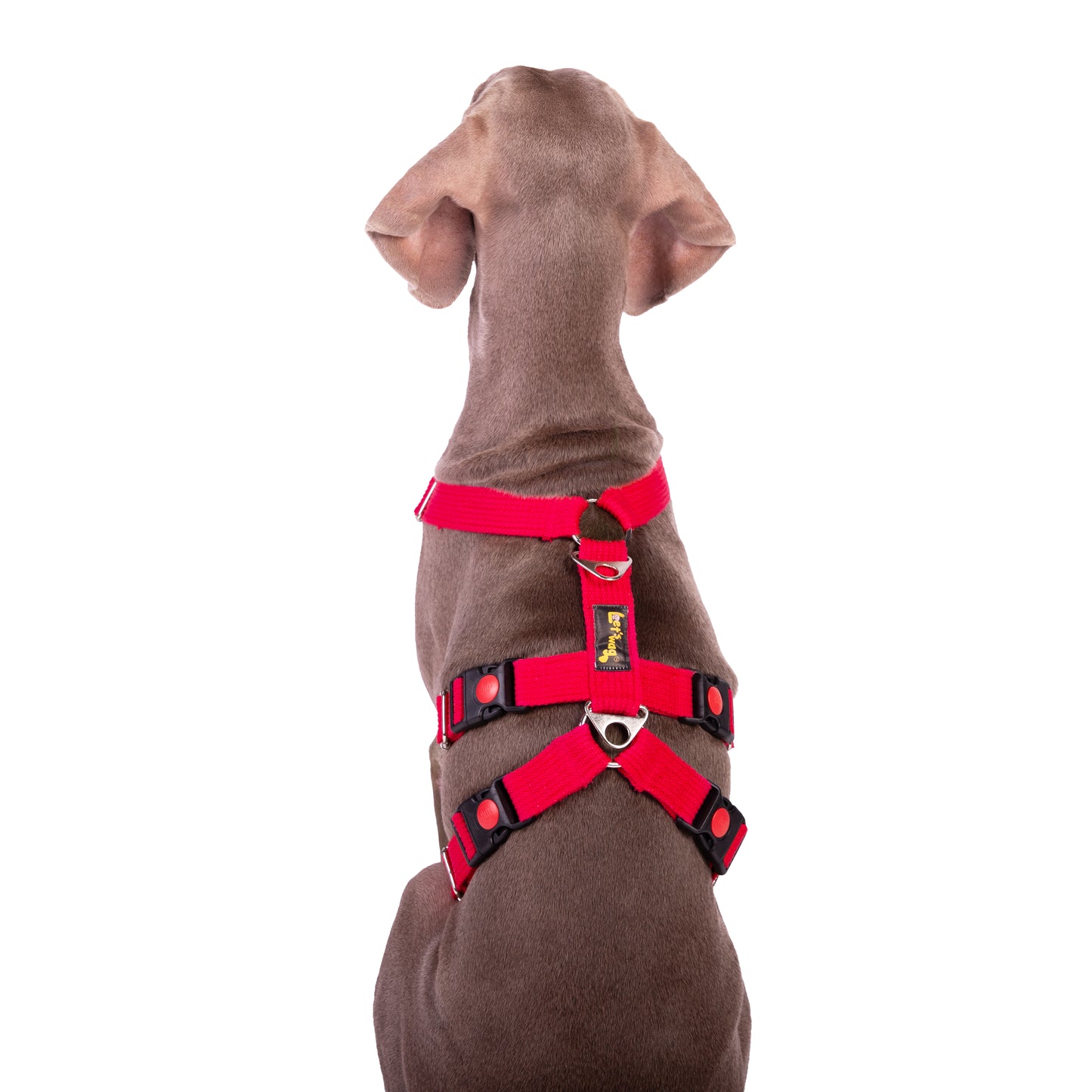 Double H Harness Red