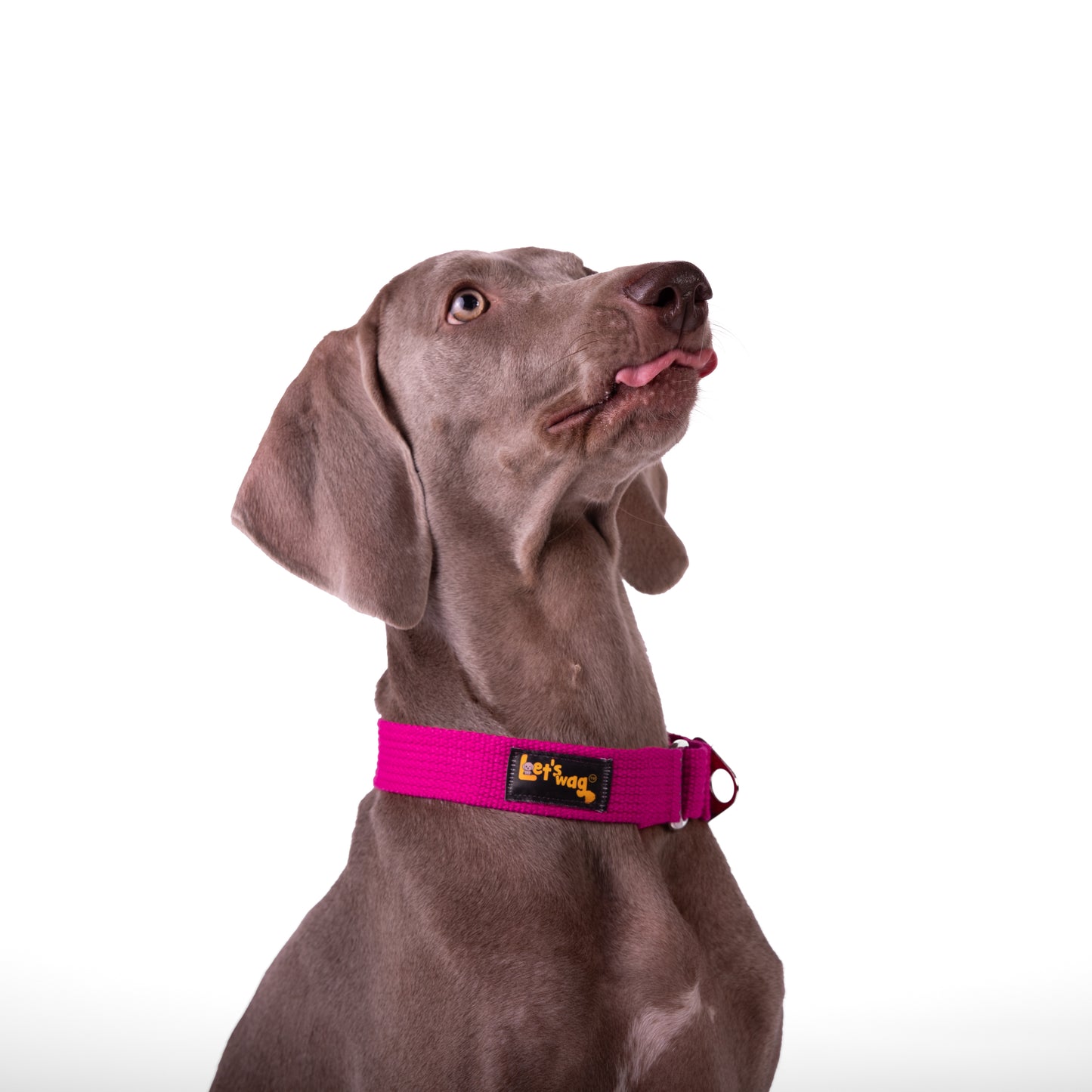 Premium Fabric Martingale Collar – Pink