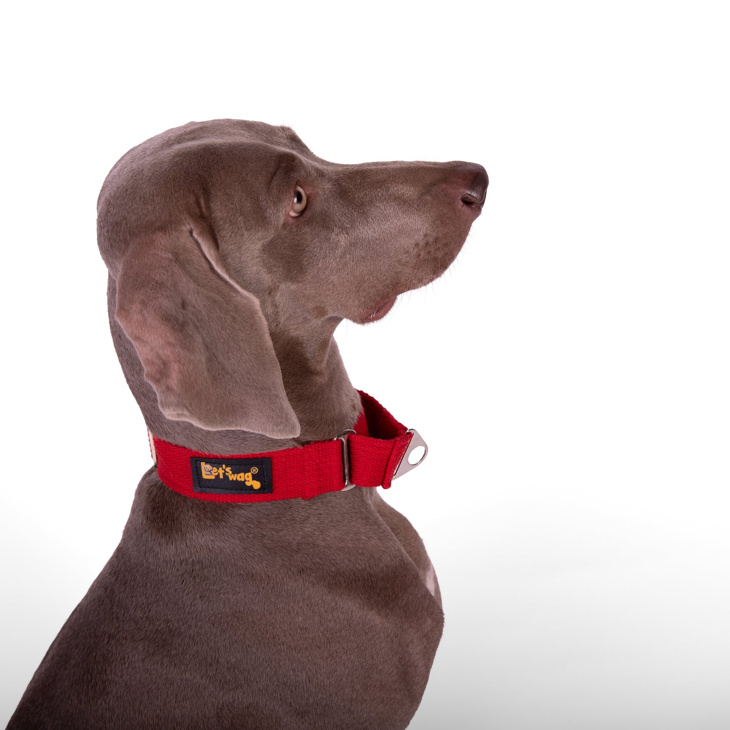 Martingale Fabric Collar - Red