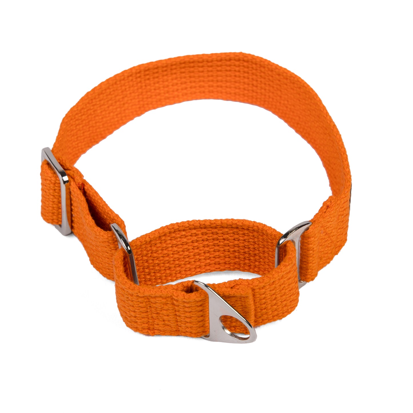 Premium Fabric Martingale Collar – Orange