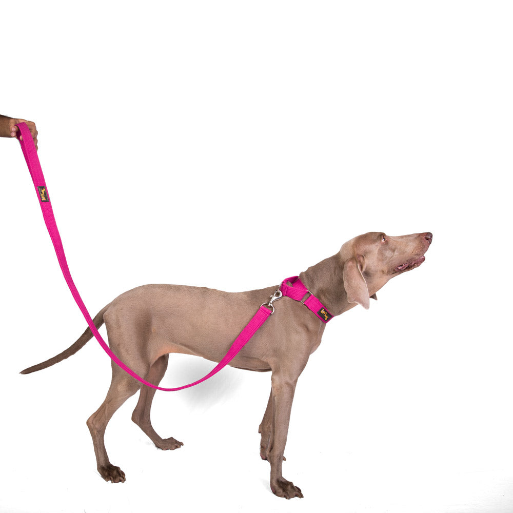 Single Handle Fabric Leash – Pink