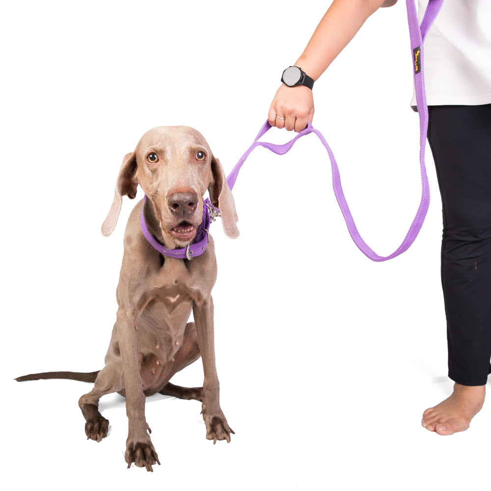 Double Handle Fabric Leash – Purple