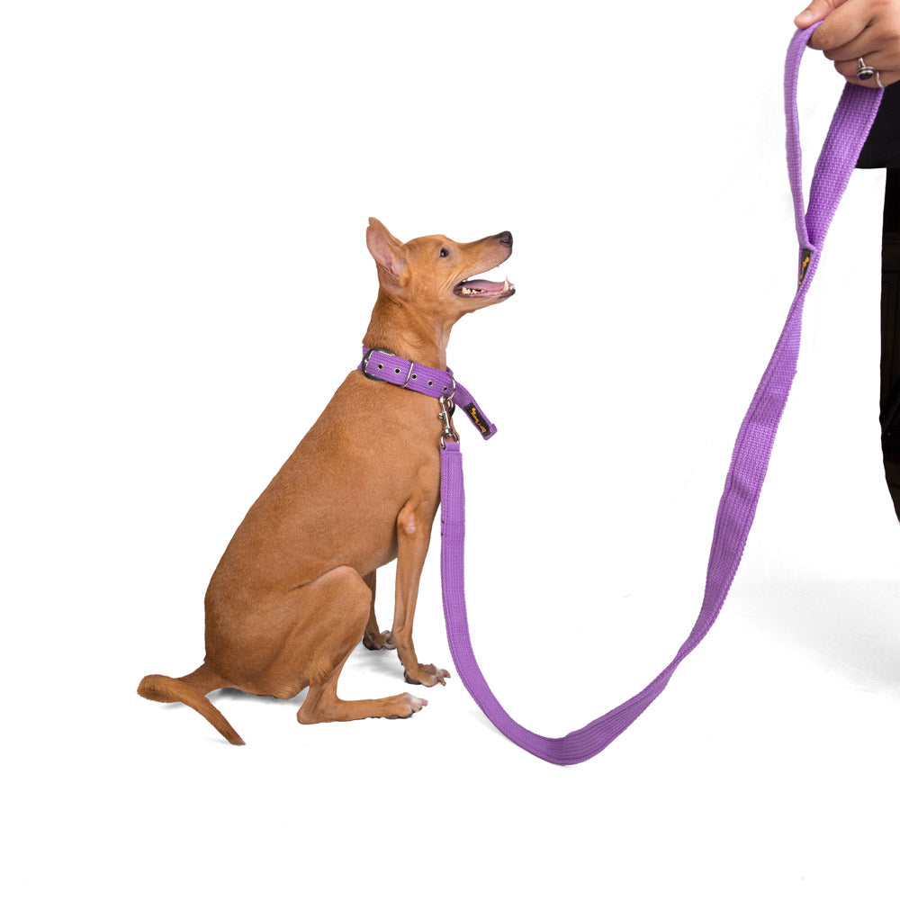 Single Handle Fabric Leash – Purple