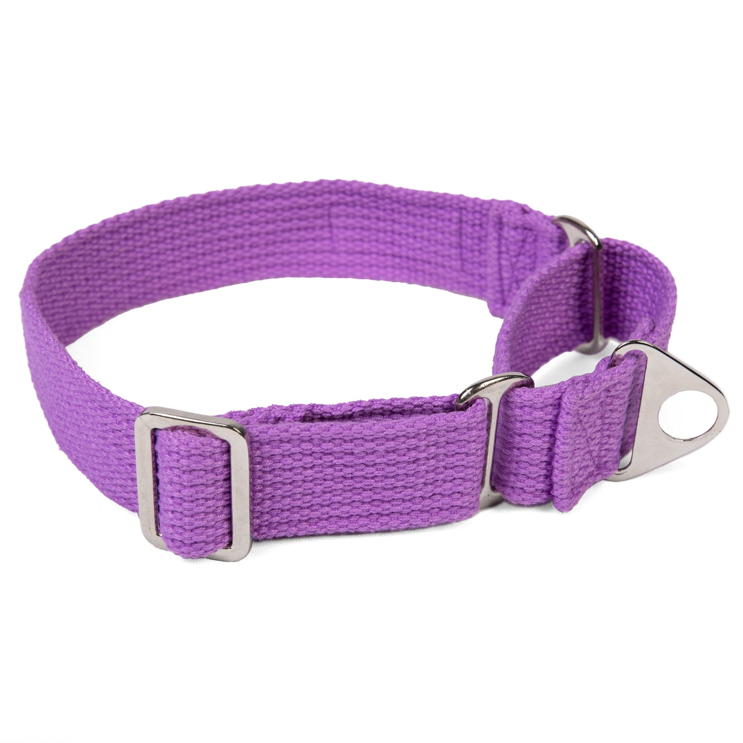 Premium Fabric Martingale Collar – Purple