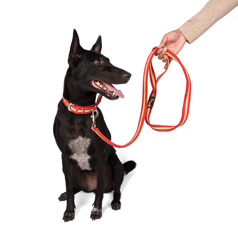 Single Handle Fabric Leash – Red & Yellow