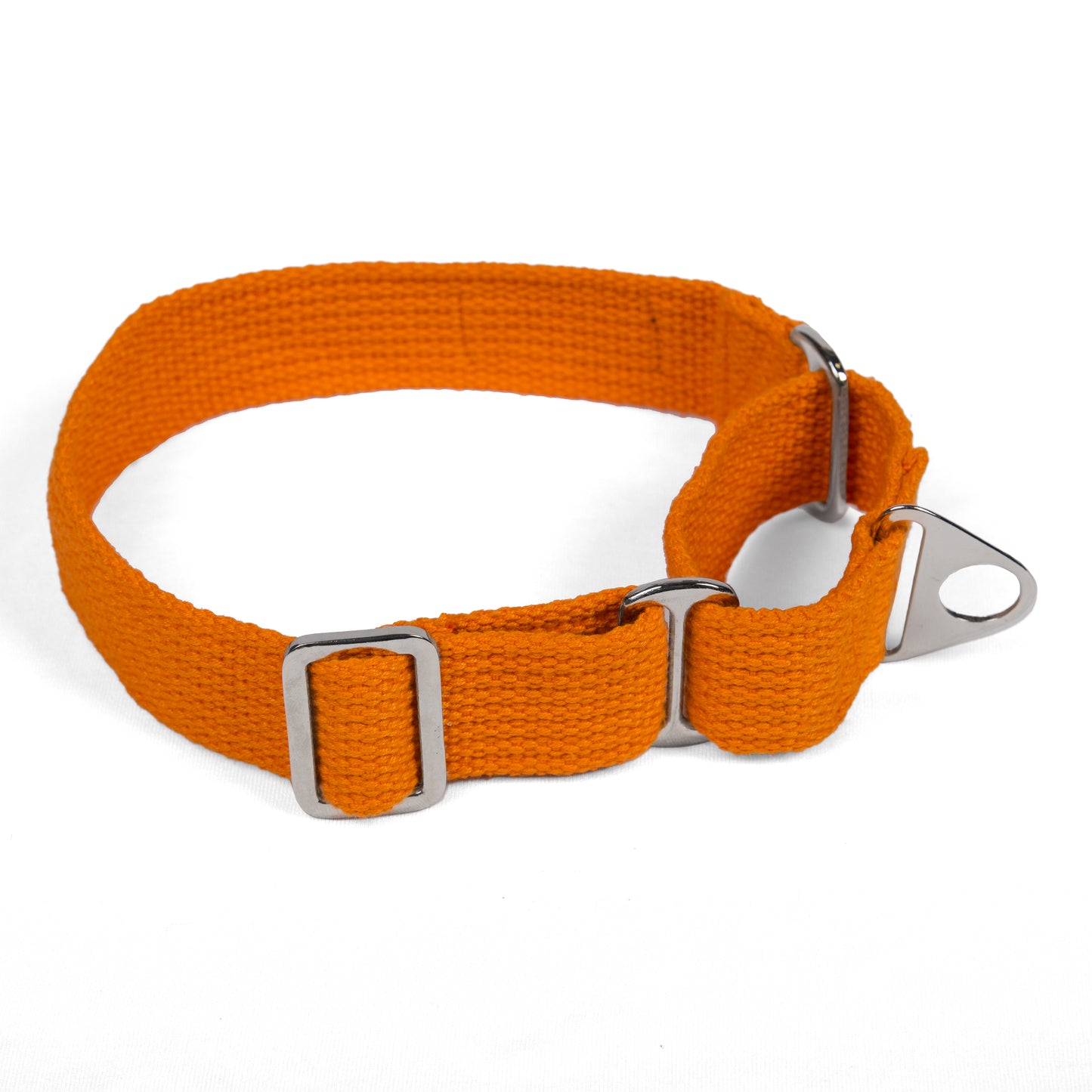 Premium Fabric Martingale Collar – Orange