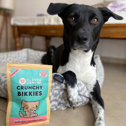 Clever Canine Crunchy Bikkies Wheat Free Handcrafted Small Batch Dog Biscuits - 200g