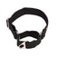 Martingale Fabric Collar - Black