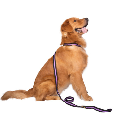 Single Handle Fabric Leash – Black & Purple