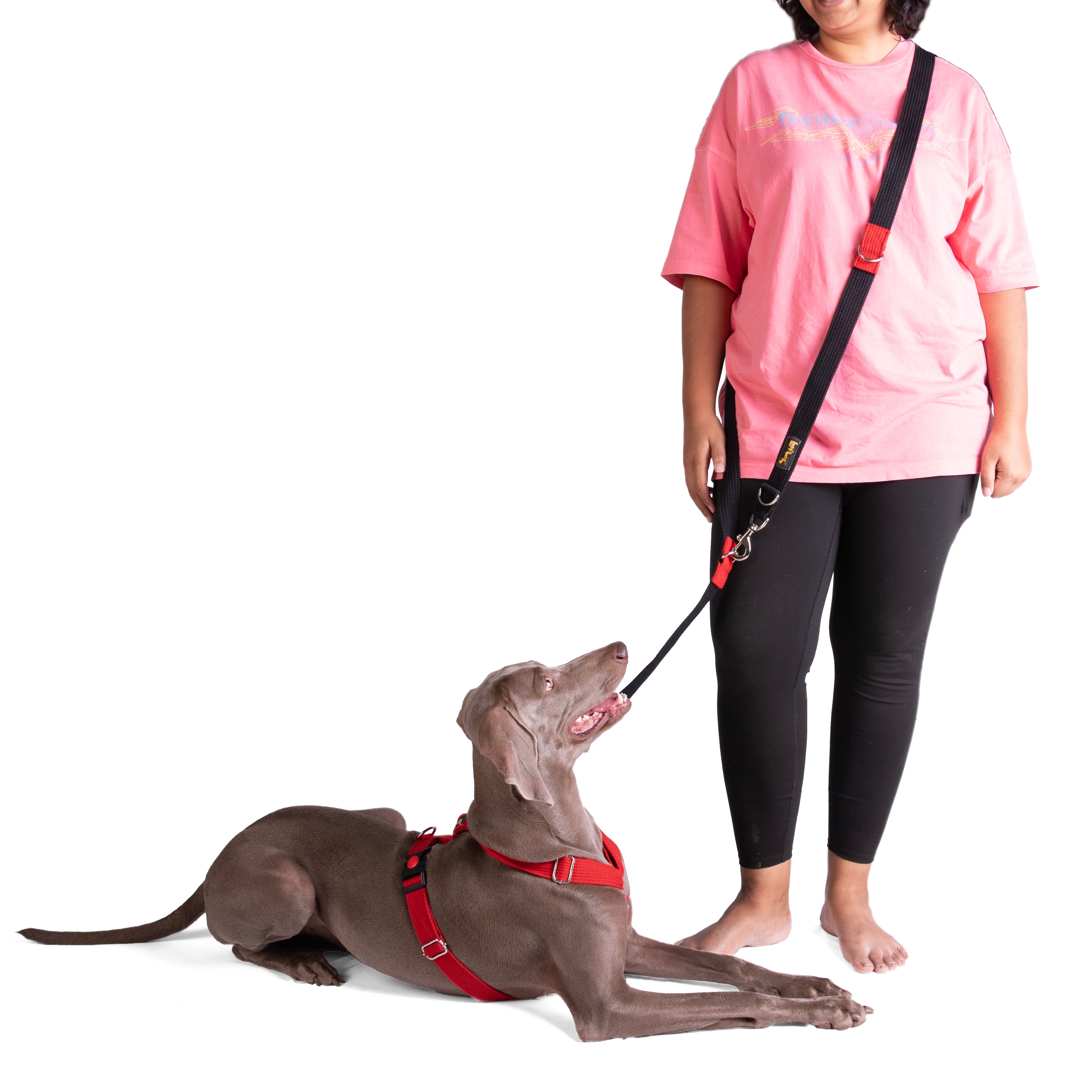 Multipurpose Adventure Leash
