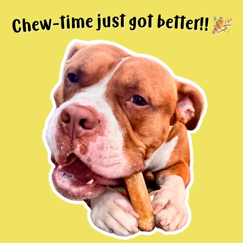 Clever Canine Yak Cheese Chew for Dogs - XS size, Pack of 3