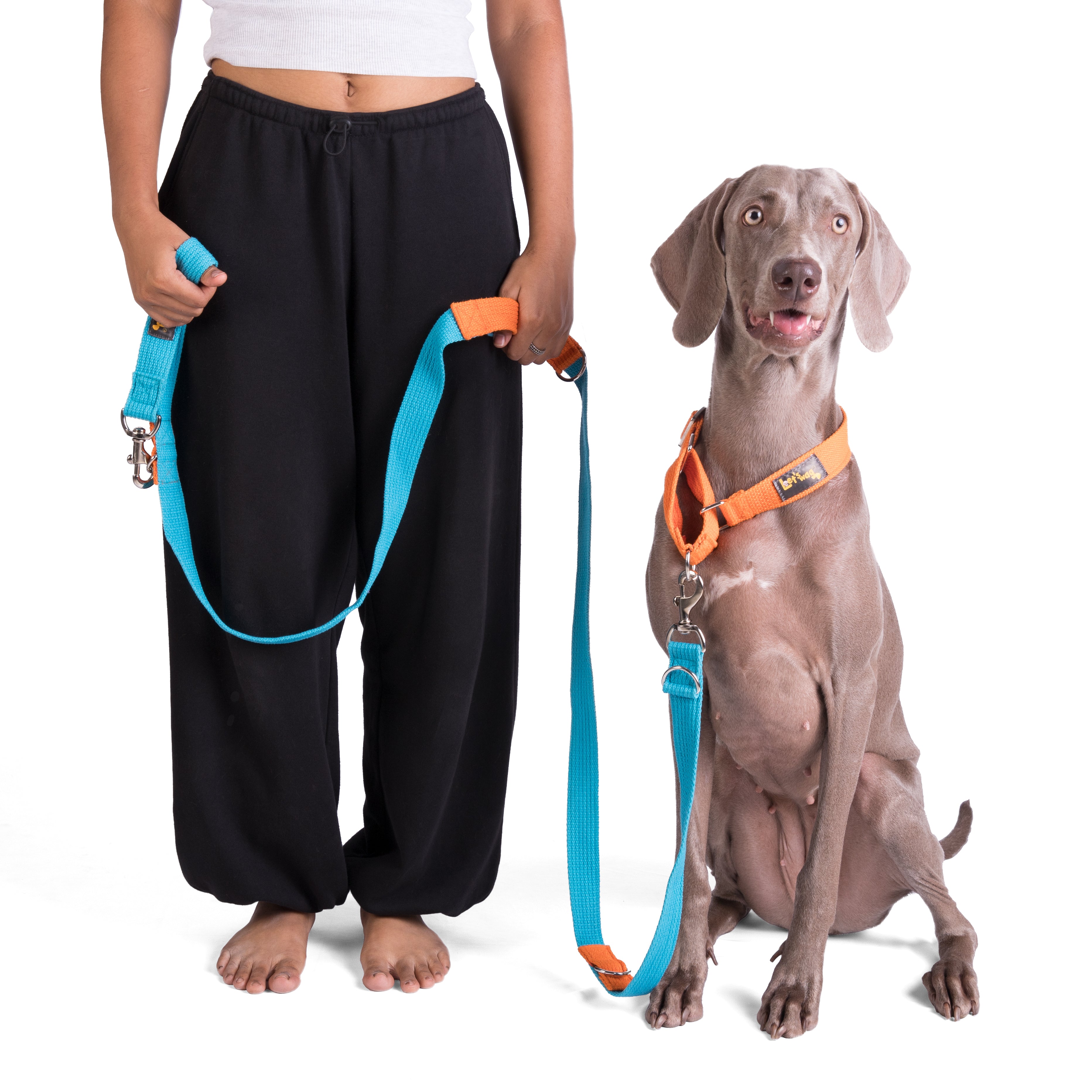 Multipurpose Adventure Leash