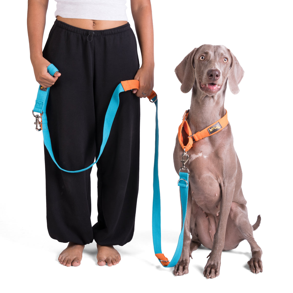 Multipurpose Adventure Leash