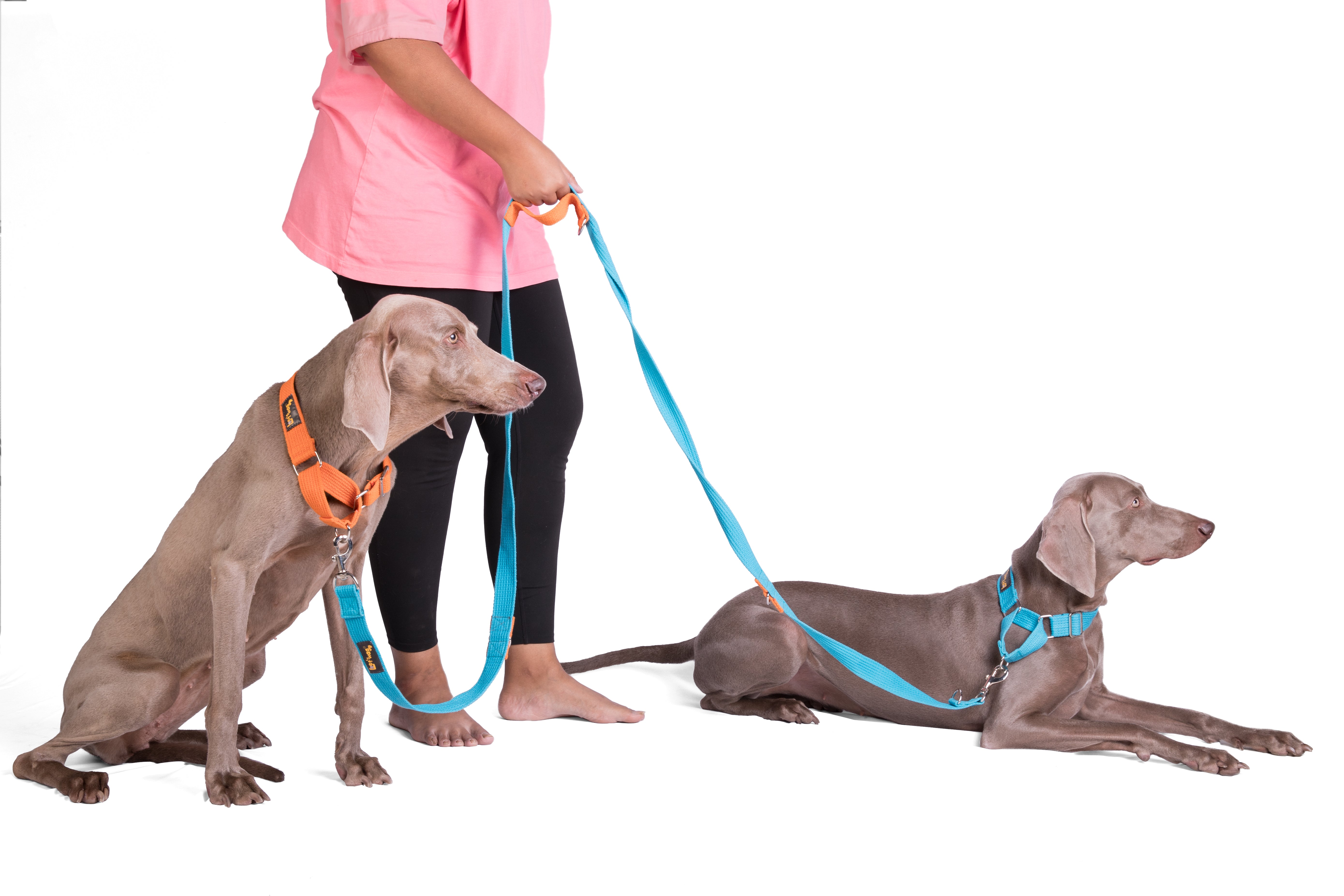 Multipurpose Adventure Leash