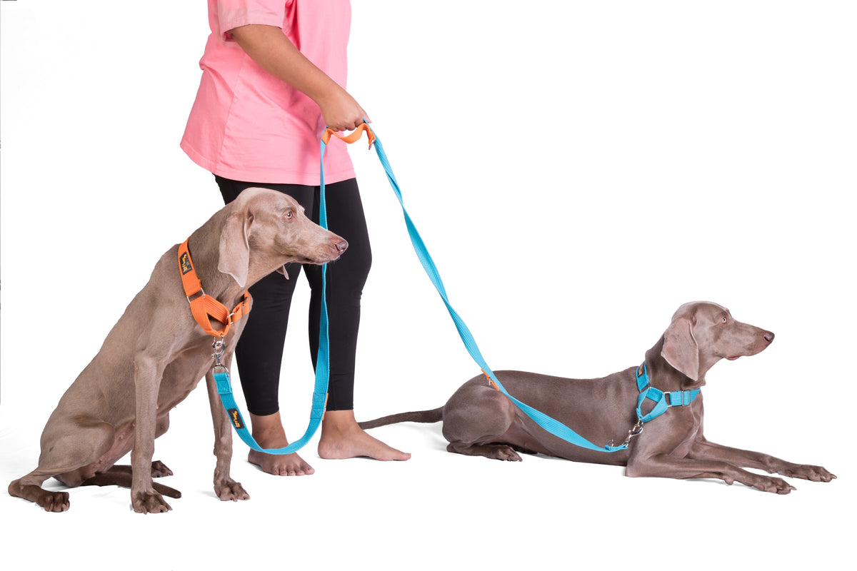 Multipurpose Adventure Leash