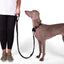 Double Handle Leash – Black
