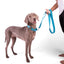Double Handle Fabric Leash – Cobalt Blue