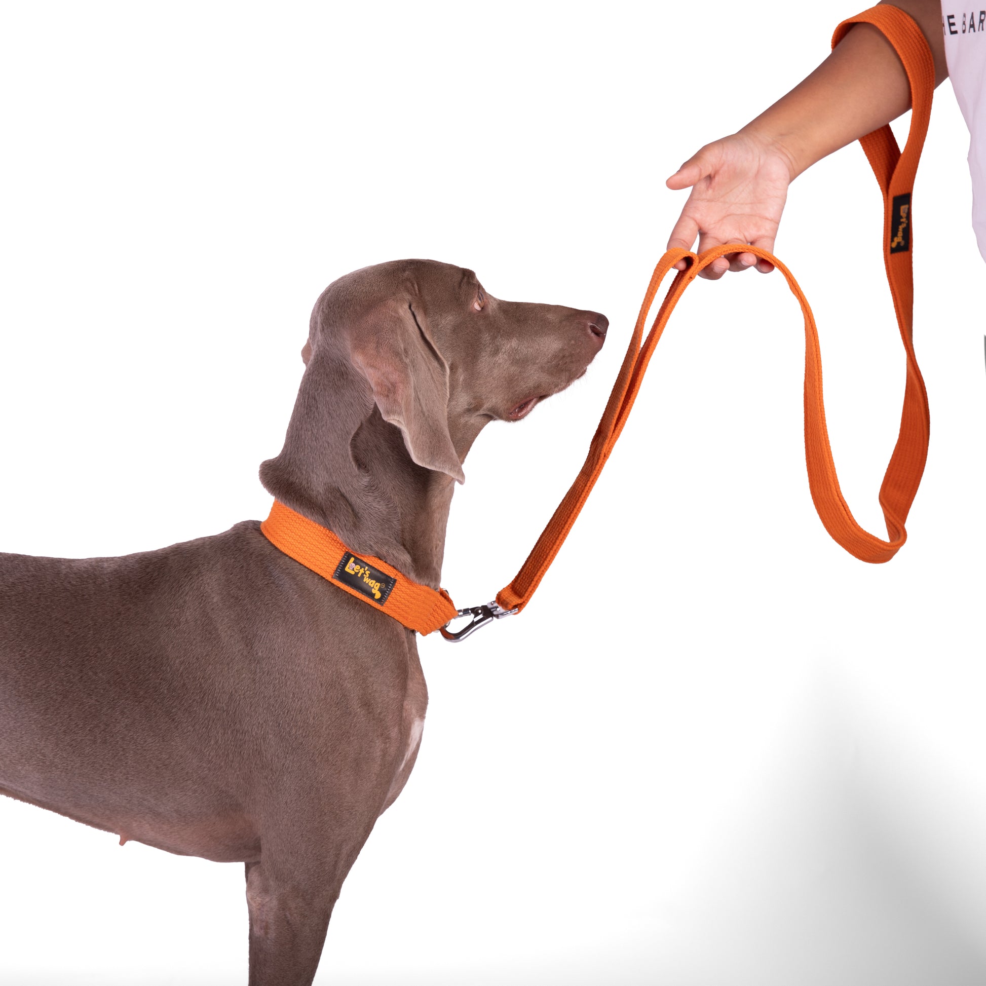 Double Handle Fabric Leash – Orange