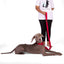 Double Handle Leash – Red