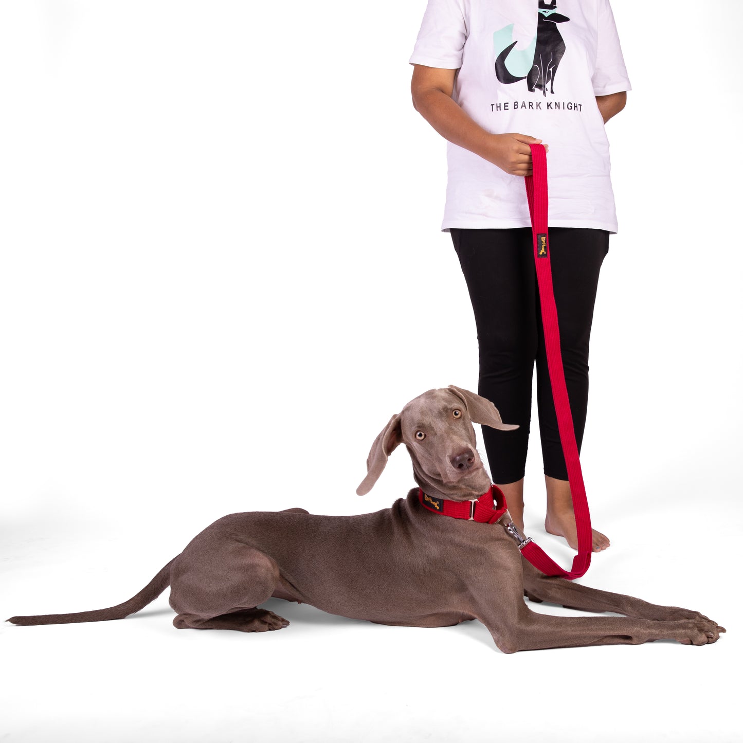 Double Handle Leash – Red