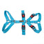 Double H Harness Blue