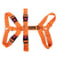 Double H Harness Orange