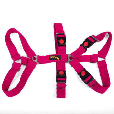 Double H Harness Pink