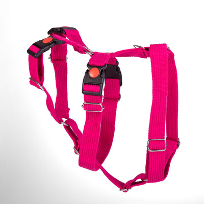 Double H Harness Pink