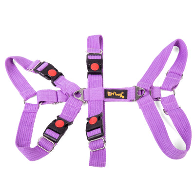 Double H Harness Purple