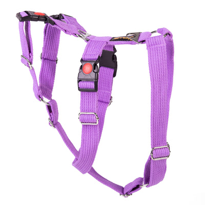 Double H Harness Purple