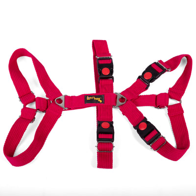 Double H Harness Red
