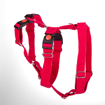 Double H Harness Red