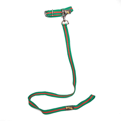 Single Handle Fabric Leash – Green & Red