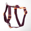 H - Harness - Maroon