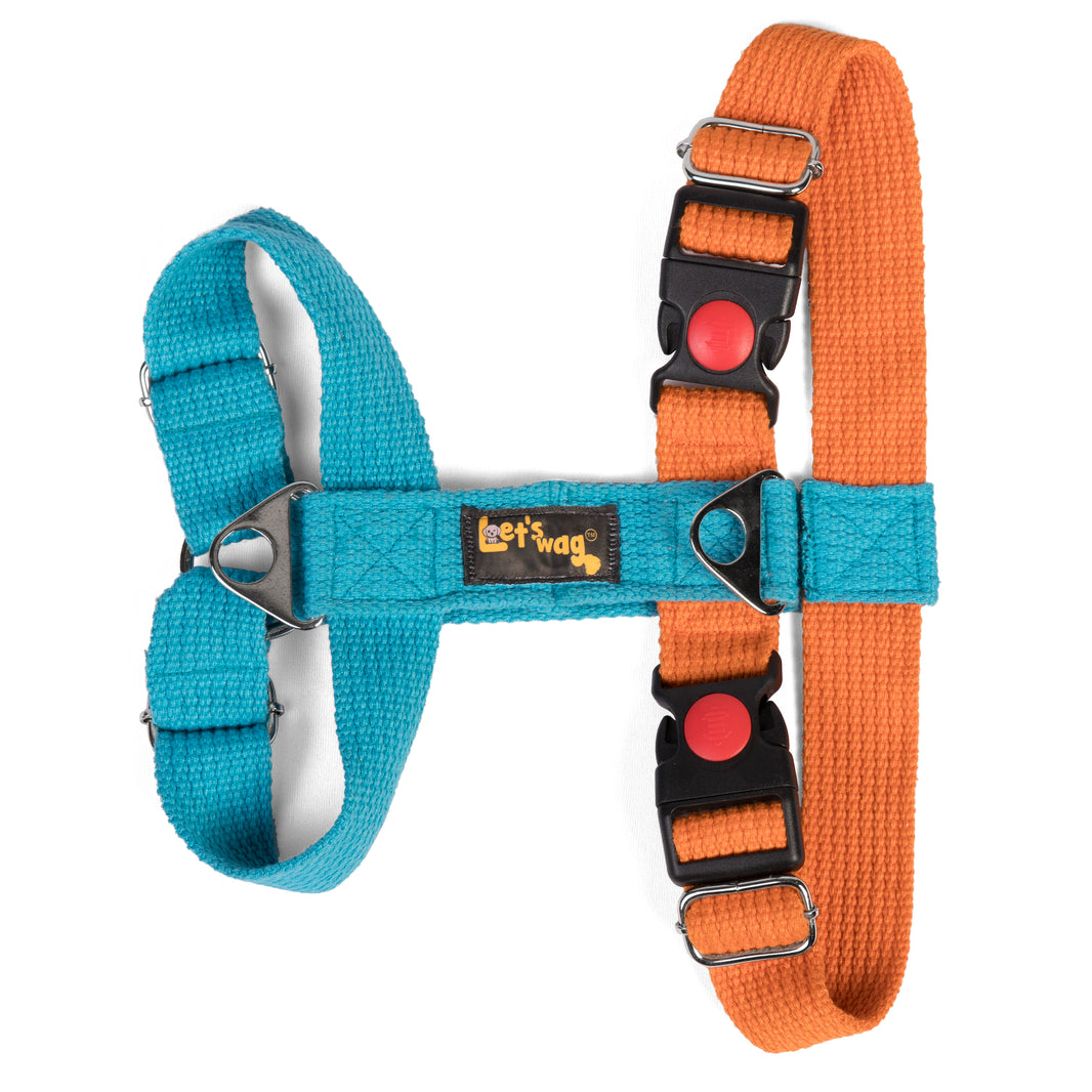 Everyday Harness