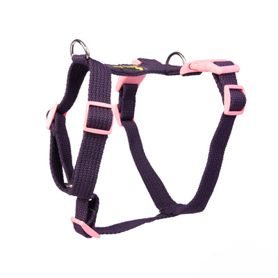 H - Harness - Dark Purple