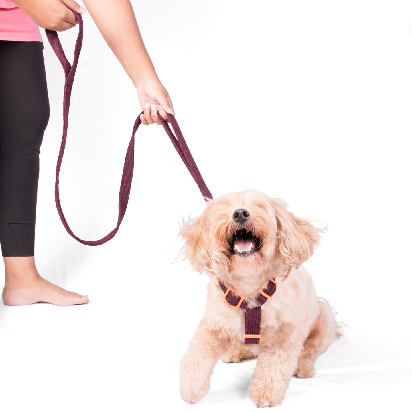 Double Handle Leash – Maroon