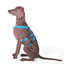 Double H Harness Blue