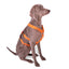 Double H Harness Orange
